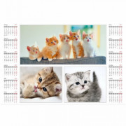 Calender A4 horizontal